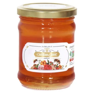 عسل تپل گشنيز سلامت 290 گرم سایت مویرگی