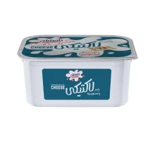 پنیر لاکتیکی دامداران 300 گرم