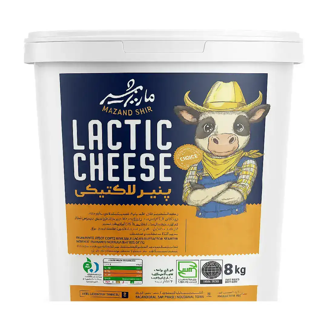 پنیر لاکتیکی سطلی مازندشیر 8 کیلوگرم