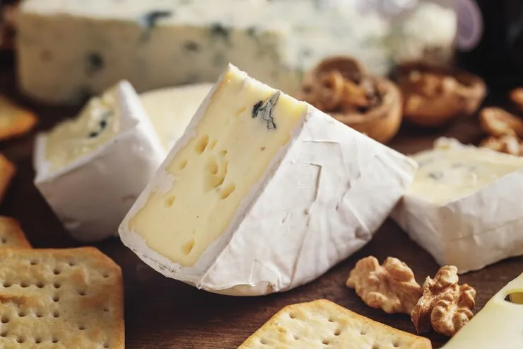 پنیر چیست و انواع آن کدام است سایت مویرگی بازرگانی گلستانی