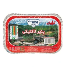 پنیر لاکتیکی زیارت پگاه 300 گرم