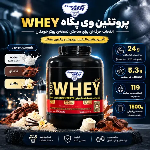 پروتئین وی پگاه WPC80