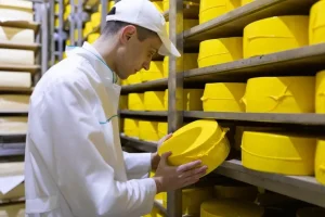 پنیر چیست و انواع آن کدام است سایت مویرگی بازرگانی گلستانی